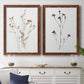 Pressed Botanical I - Premium Framed Canvas 2 Piece Set - Ready to Hang