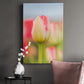 Twotone Tulip Premium Gallery Wrapped Canvas - Ready to Hang