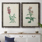 Set of two black barnwood framed canvas prints depicting antique floral illustrations featuring a tall red bloom and a clustered mauve flower above a dining room sideboard.