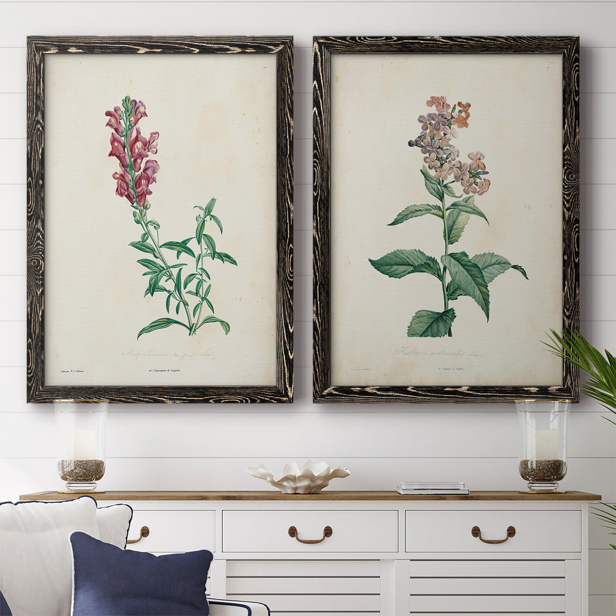 Set of two black barnwood framed canvas prints depicting antique floral illustrations featuring a tall red bloom and a clustered mauve flower above a dining room sideboard.