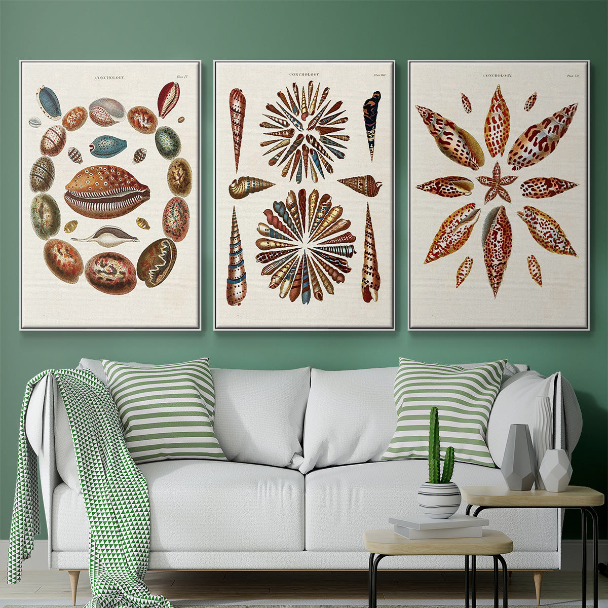 Spiral Shell Formation I - Framed Premium Gallery Wrapped Canvas L Frame 3 Piece Set - Ready to Hang