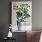 Potted Houseplant II - Canvas Art Print