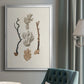 Knorr Shells & Coral V - Modern Framed Canvas Print