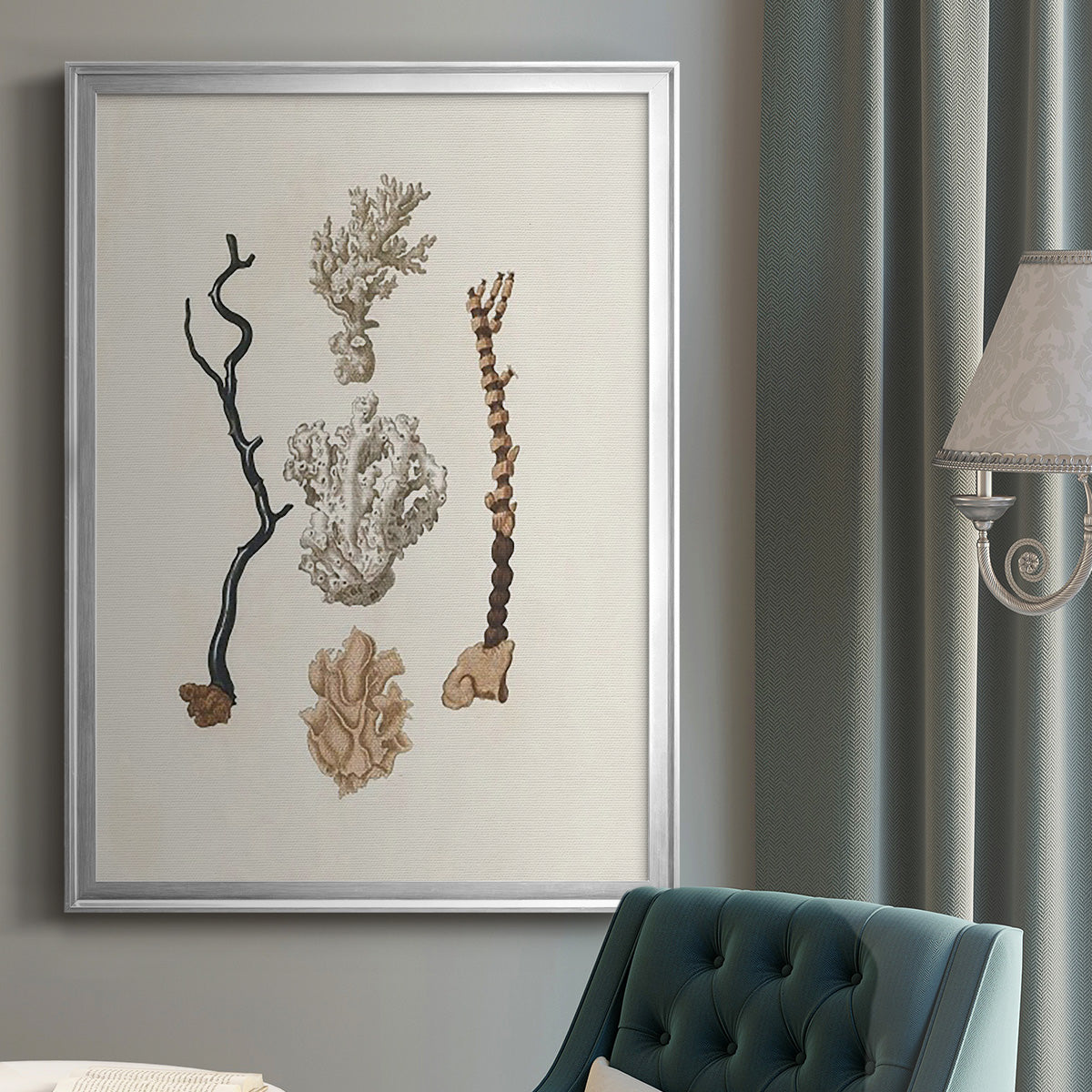 Knorr Shells & Coral V - Modern Framed Canvas Print