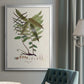 Botanical Society Ferns VI - Modern Framed Canvas Print