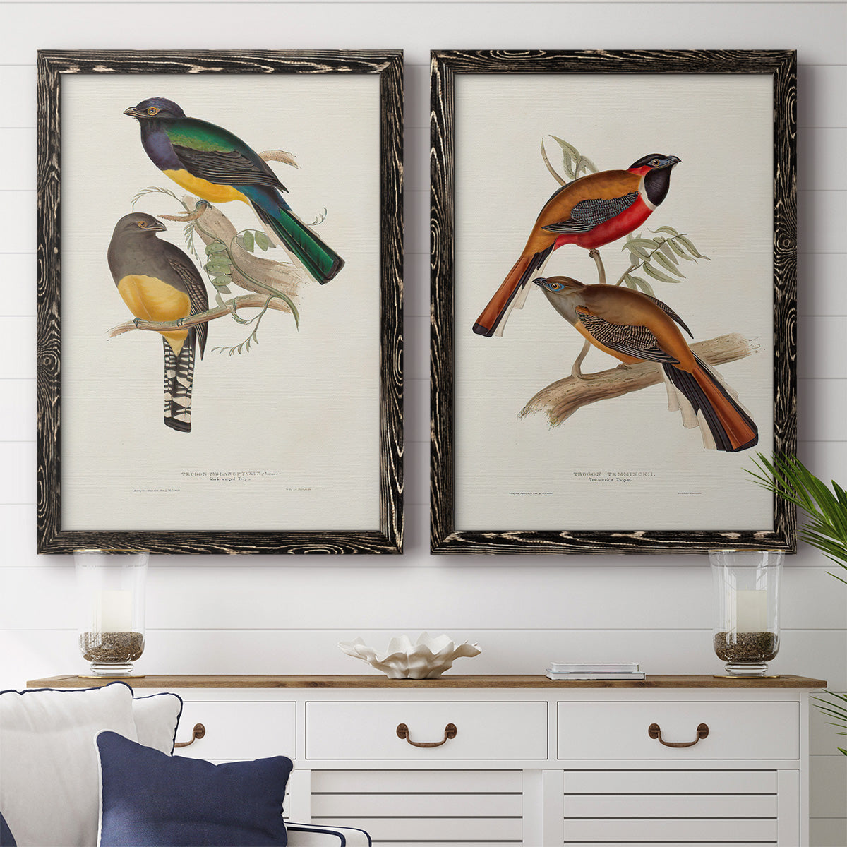 Elegant Trogons III - Premium Framed Canvas 2 Piece Set - Ready to Hang