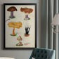 Mushroom Species VII - Modern Framed Canvas Print