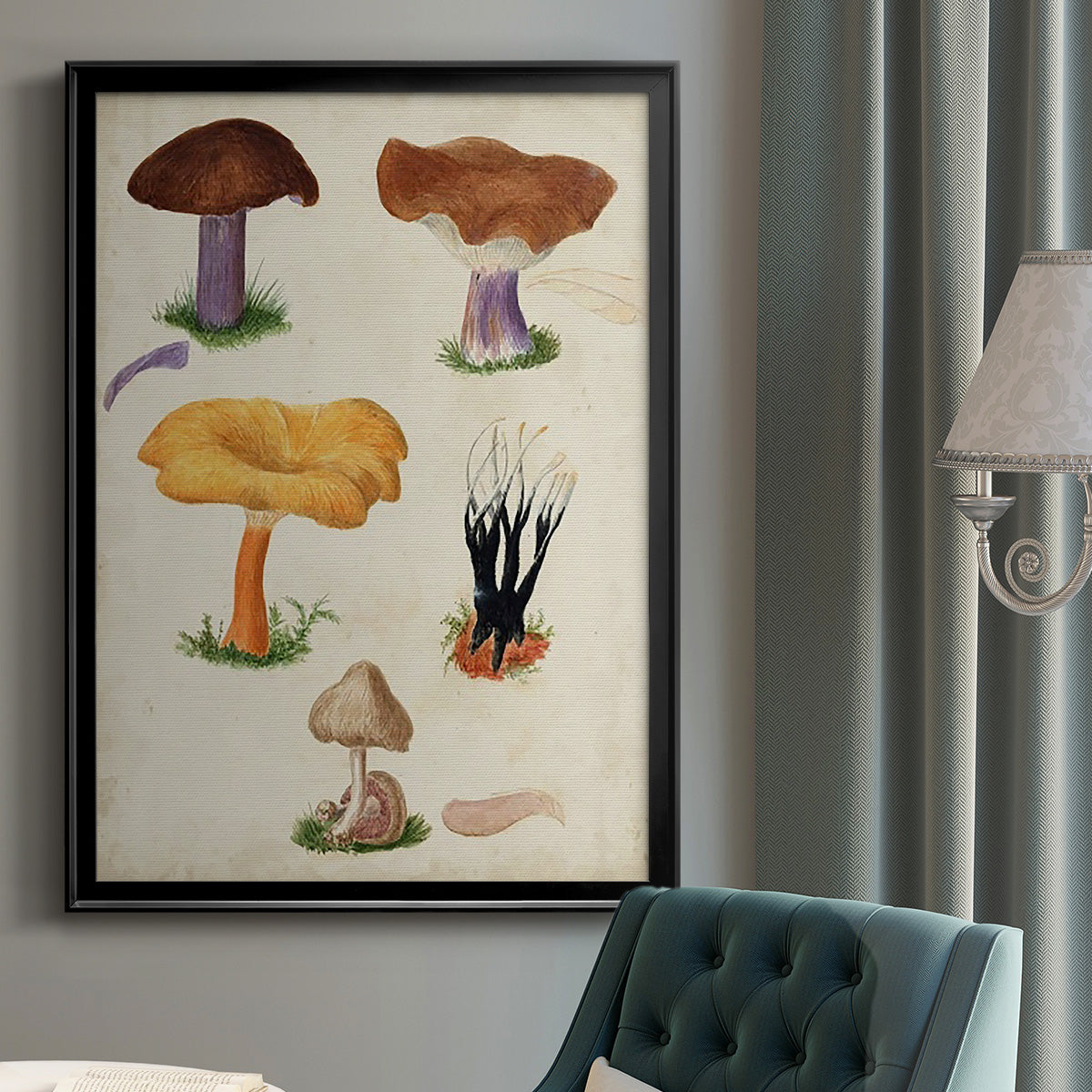 Mushroom Species VII - Modern Framed Canvas Print