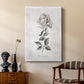 Vintage Botanical II - Canvas Art Print