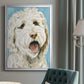 Labradoodle II - Modern Framed Canvas Print