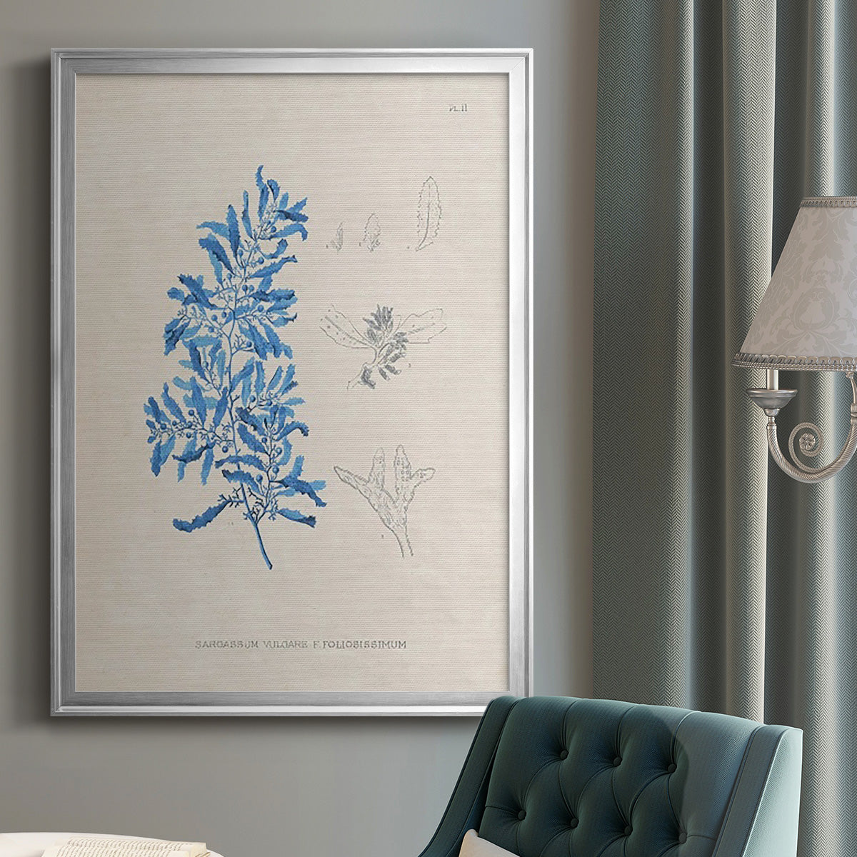 Blue Marine Algae VI - Modern Framed Canvas Print