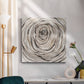 Twisted Branch II - Canvas Art Print