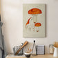 Mushroom Varieties IX Premium Gallery Wrapped Canvas - Ready to Hang