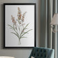 Dainty Botanical I - Modern Framed Canvas Print