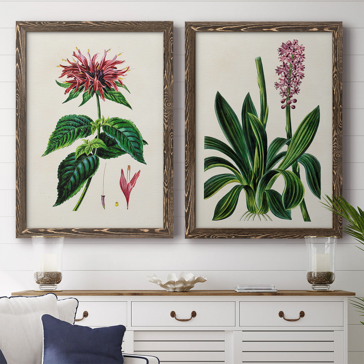 Set of two walnut barnwood framed canvas prints depicting a coordinated art pair of colorful flowering plant specimens rendered as antique botanical plate illustrations above a dining room sideboard.