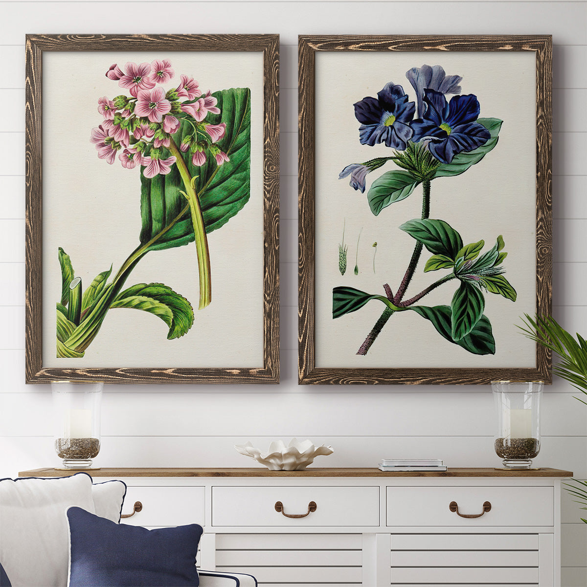 Set of two walnut barnwood framed canvas prints depicting a coordinated art pair of colorful flowering plant specimens rendered as antique botanical plate illustrations above a dining room sideboard.