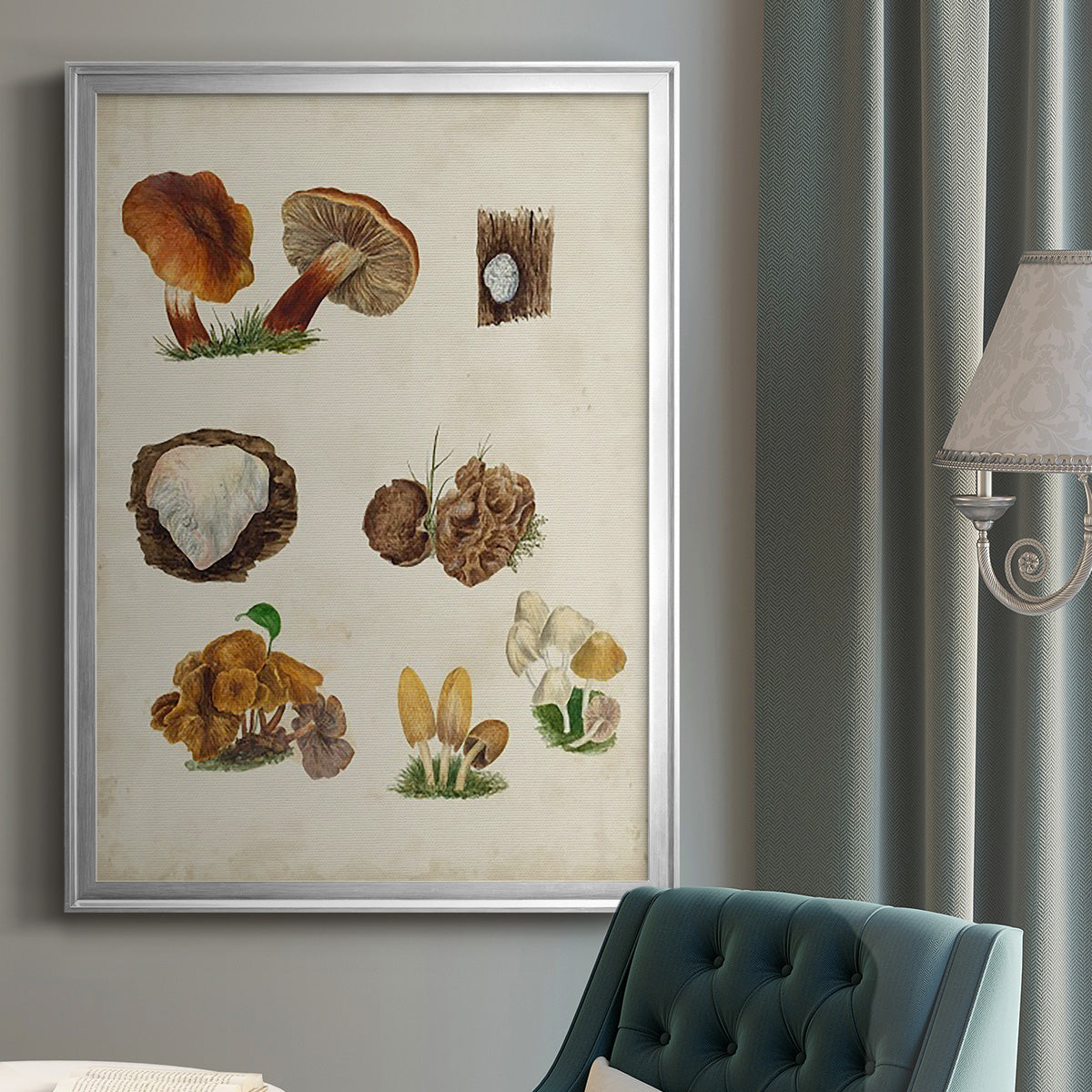 Mushroom Species I - Modern Framed Canvas Print