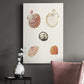 Pastel Knorr Shells VIII - Canvas Art Print