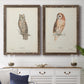 Scops- Eared Owl - Premium Framed Canvas 2 Piece Set - Ready to Hang