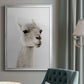 Soft Llama - Modern Framed Canvas Print