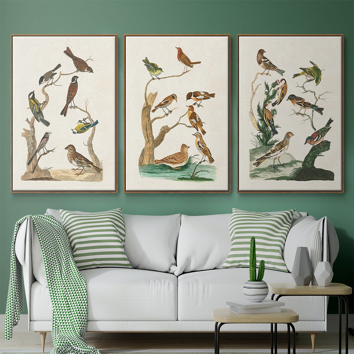 Antique Birds in Nature I - Framed Premium Gallery Wrapped Canvas L Frame 3 Piece Set - Ready to Hang