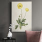 Flowers of the Seasons XII - Canvas Art Print