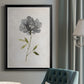 Botanical Beauty I - Modern Framed Canvas Print