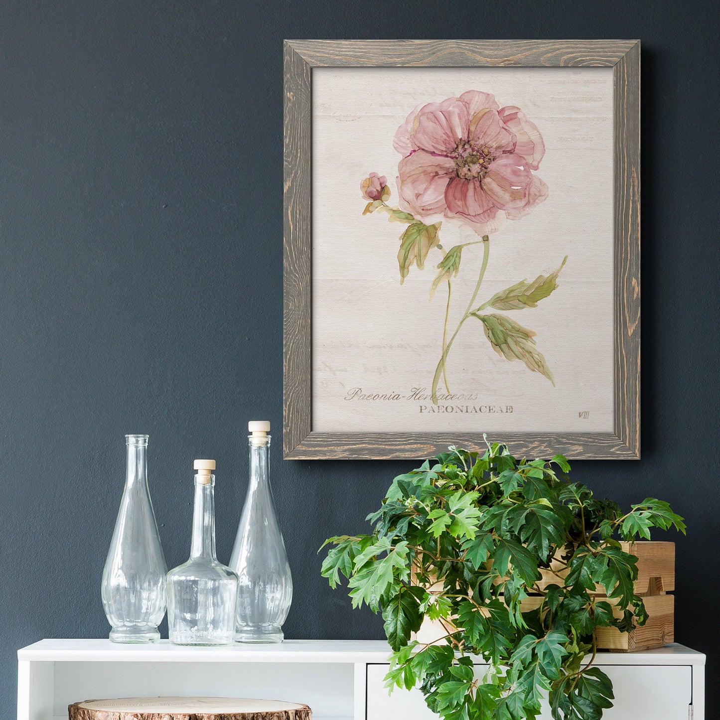 Soft Peony - Premium Canvas Framed in Barnwood - Ready to Hang