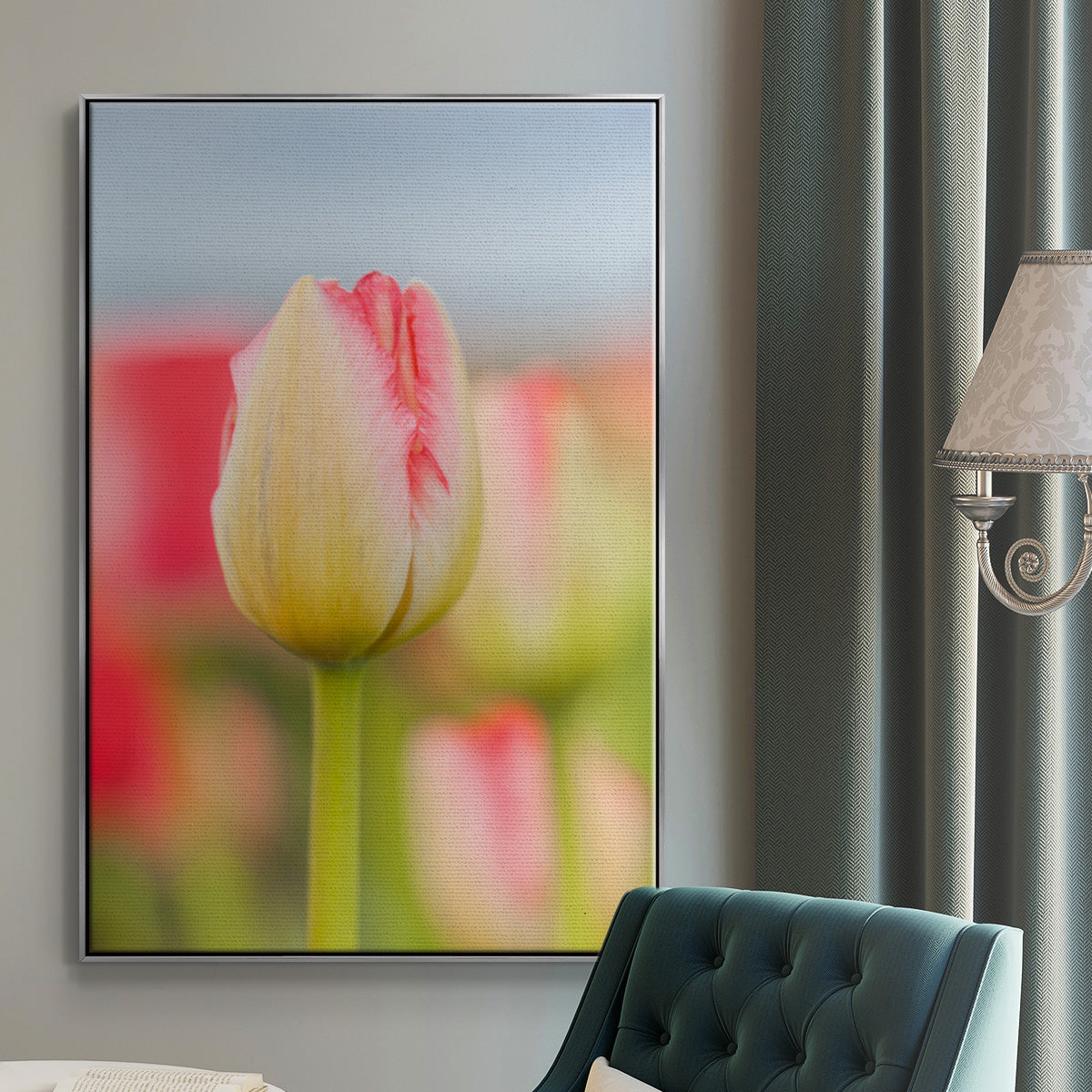 Twotone Tulip -  Framed Canvas Print