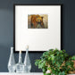 Majestic- Premium Framed Print Double Matboard