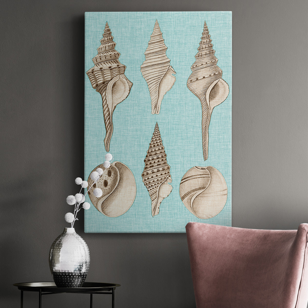 Sepia & Aqua Shells II - Canvas Art Print