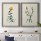 Traditional Botanical III - Premium Framed Canvas 2 Piece Set - Ready to Hang