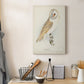 Barn Owl Premium Gallery Wrapped Canvas - Ready to Hang