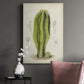 Antique Cactus VI Premium Gallery Wrapped Canvas - Ready to Hang