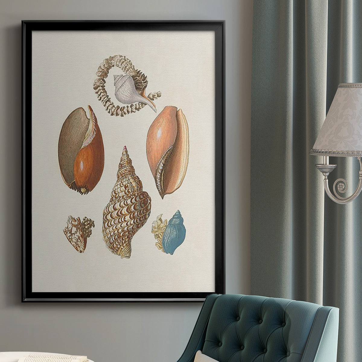 Knorr Shells & Coral I - Modern Framed Canvas Print