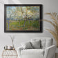 Orchard With Blossoming Apricot Trees - Ornate Framed Canvas Print