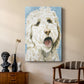 Labradoodle II - Canvas Art Print