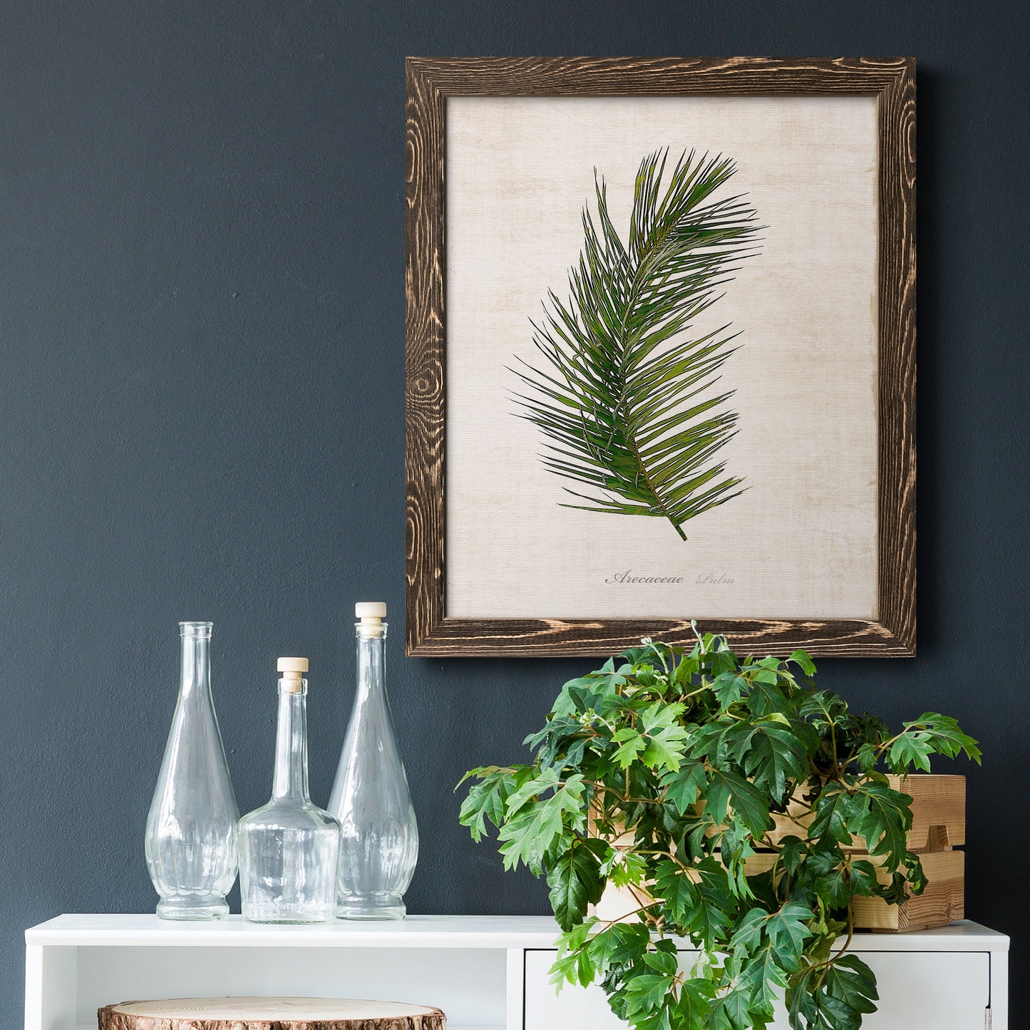 Palm Botanical II - Premium Canvas Framed in Barnwood - Ready to Hang