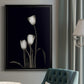 Tulip Pose III - Modern Framed Canvas Print