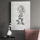 Vintage Botanical II Premium Gallery Wrapped Canvas - Ready to Hang