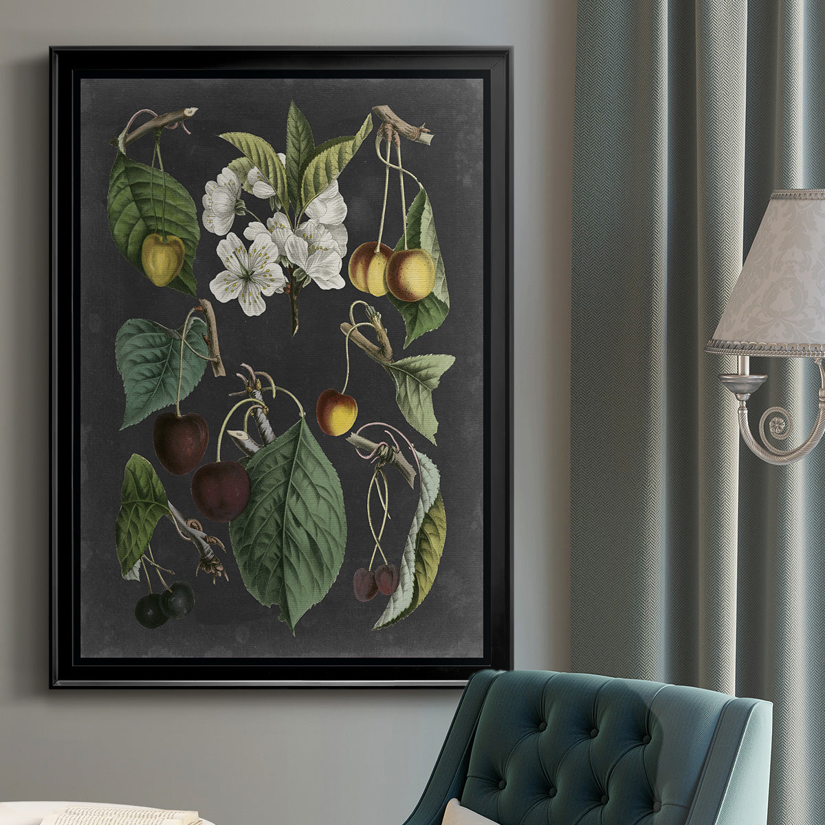 Orchard Varieties II - Modern Framed Canvas Print