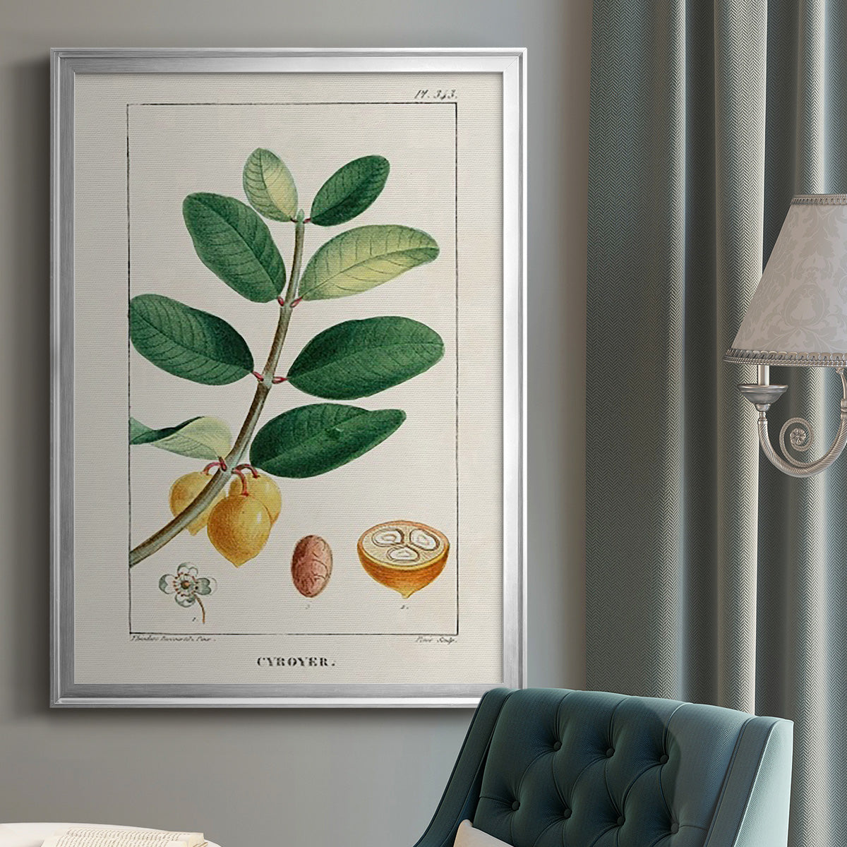 Turpin Tropical Botanicals V - Modern Framed Canvas Print