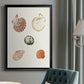 Pastel Knorr Shells VIII - Modern Framed Canvas Print