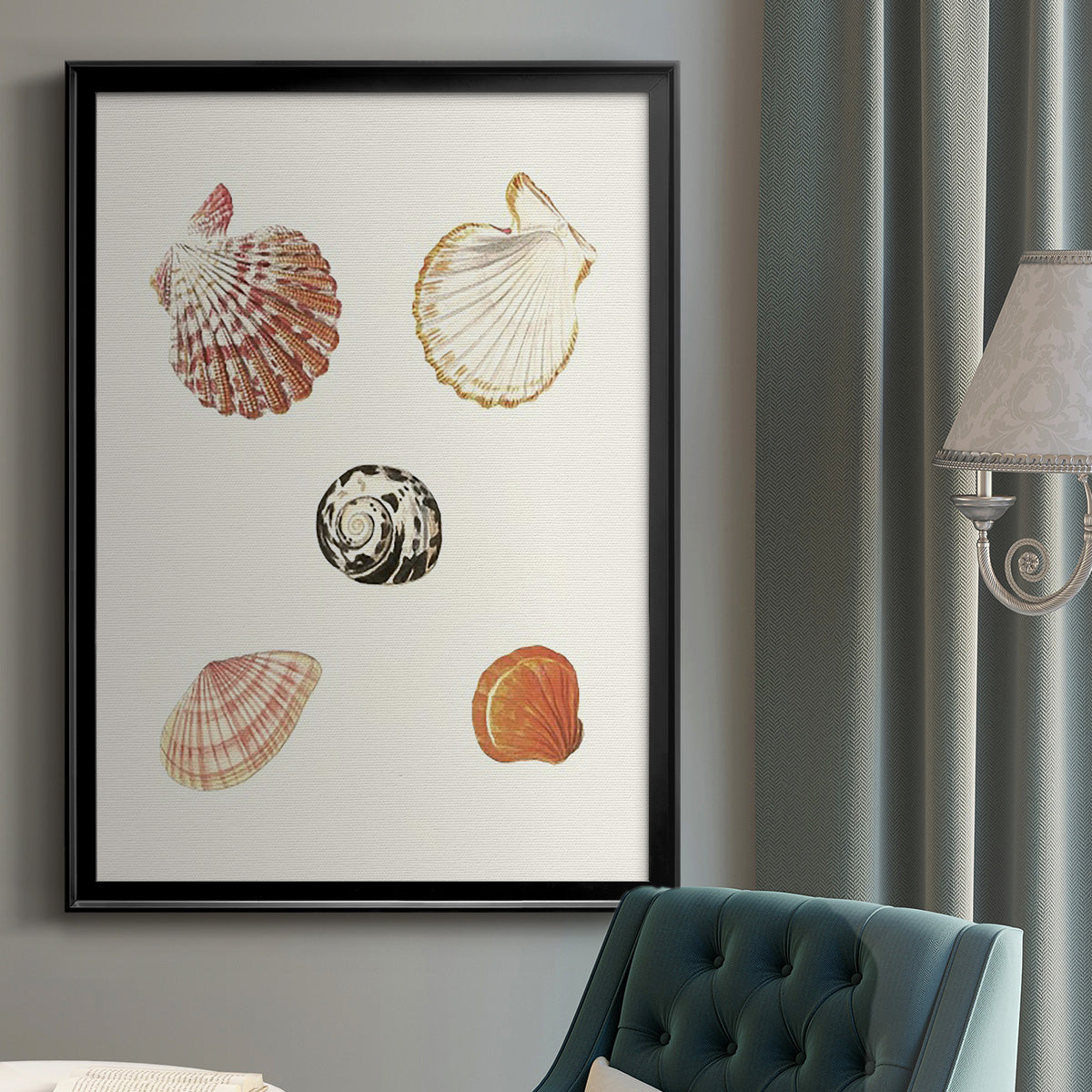 Pastel Knorr Shells VIII - Modern Framed Canvas Print