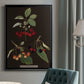 Brookshaw Cherries - Modern Framed Canvas Print