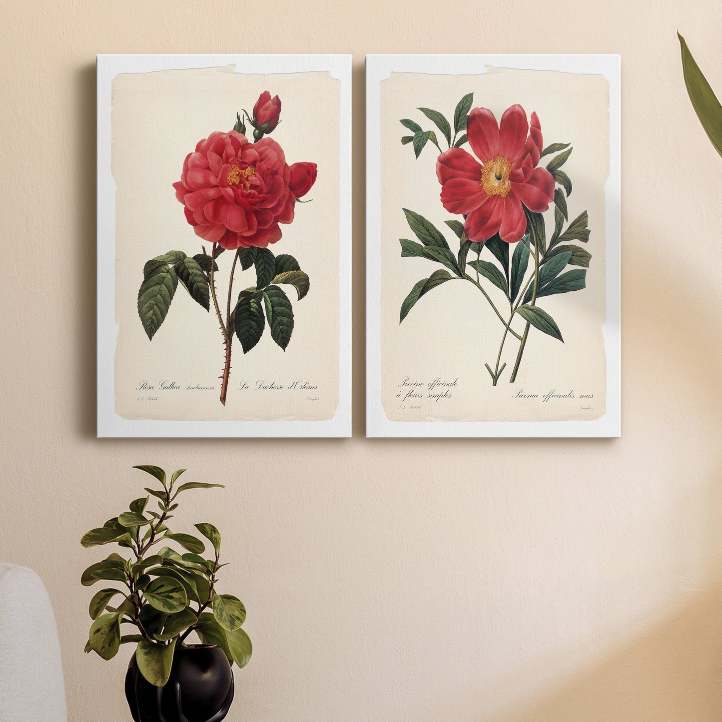 Red Botanical III Premium Gallery Wrapped Canvas - Ready to Hang - Set of 2 - 8 x 12 Each