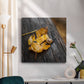 Snail's Pace - Canvas Art Print