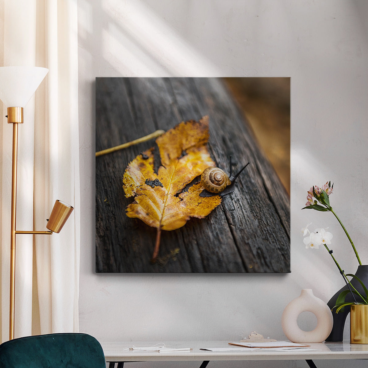 Snail's Pace - Canvas Art Print