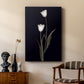 Tulip Pose II - Canvas Art Print