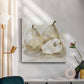 White Pear Study I-Premium Gallery Wrapped Canvas - Ready to Hang